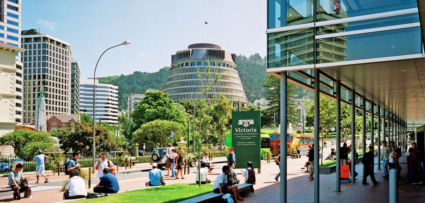 Best course to study in New Zealand for international students Top picks